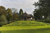 A Golden Spring at Old Warden